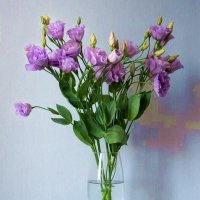 Всім здоровя мирного неба :: Степан Карачко Всім здоровя мирного неба :: Степан Карачко