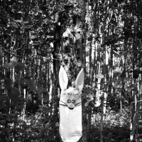 Назва. отсу. :: Денис Безногов