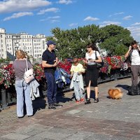 *** :: Владимир Захаров