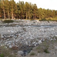 Конец июля - тоже середина лета :: Галина Минчук Конец июля - тоже середина лета :: Галина Минчук