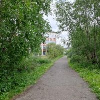 Дорога в школу... :: Troystik 