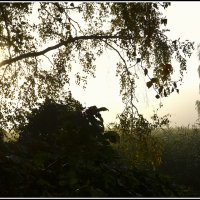 Светает :: Aleksandr Gal