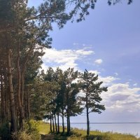 Августовские прогулки по бережку . :: Мила Бовкун Августовские прогулки по бережку . :: Мила Бовкун