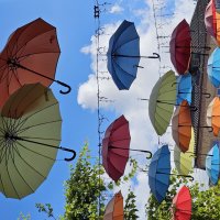 Зонтичное драже. :: Галина Левина