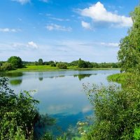 Лето в августе (репортаж из поездки по области). :: Милешкин Владимир Алексеевич 