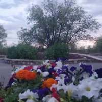 Вечер :: Андрей Хлопонин Вечер :: Андрей Хлопонин