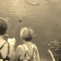 112 (223) :: СТРЕН 