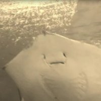 112 (227) :: СТРЕН 