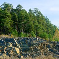 Салаирский кряж :: Дмитрий Конев