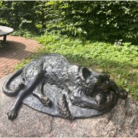 Спящий котик. :: Валерия Комова