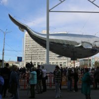 Лето в Мурманске :: Ольга 