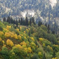 Кавказские горы :: Рита Симонова