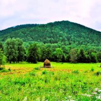 Скоро осень :: Галина Шеина-Мюльдорфер