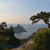 Природа Крыма :: Amazing Cosmea