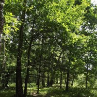 В солнечную погоду... :: Freddy 97 В солнечную погоду... :: Freddy 97