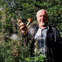 Царские грибочки ,,,) :: Анатолий Колосов