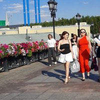 *** :: Владимир Захаров