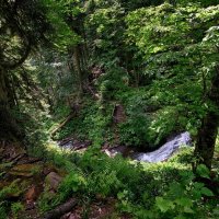 В парке водопадов Менделиха :: Mikhail Irtyshskiy