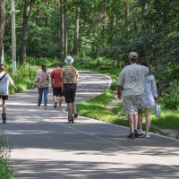 Дышим лесом, наслаждаемся движением :: Татьяна Машошина
