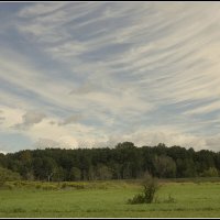 Осень приближается :: Aleksandr Gal