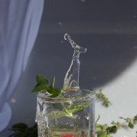 Прохладный напиток в жаркий день :: Светлана Карнаух