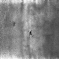 Спайдер :: Ильич -