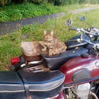 Поехали :: Сергей Кочнев