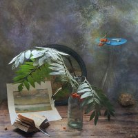 Рябиновый :: Ирина Курмалеева