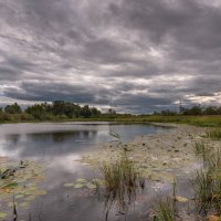 ... :: василий 