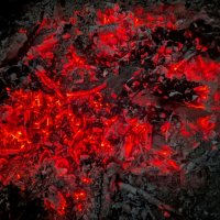 из снятого сегодня 4 :: Александр Прокудин