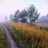 В туманную даль! :: Елена Хайдукова  ( Elena Fly )