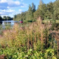 На Черной речке (Mustajõgi) :: Veera V