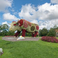 *** :: Геннадий Порохов