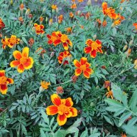 ,,, :: Сергей Тимоновский