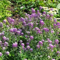 ,,, :: Сергей Тимоновский