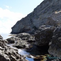 Природа Крыма :: Amazing Cosmea