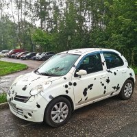 "Далматинец" :: Любимова Ольга 