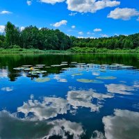 Река Солоница :: Михаил Свиденцов