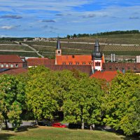 Виноградники Франконии :: Андрей K. Виноградники Франконии :: Андрей K.