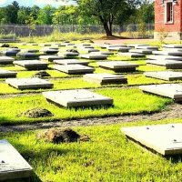 Пенсионерная конюшня к кладбище лошадей - 5 :: Сергей 