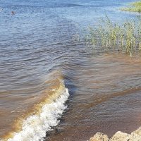 Невская волна :: Наталья Герасимова