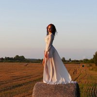 В полях Рязанщины :: Олег 