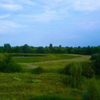 Алатырь. Пойменное озеро Иваньково. :: Пётр Чернега