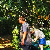 Иду по парку :: Юрий Гайворонскiий