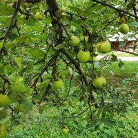 ,,, :: Сергей Тимоновский