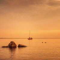 Про Питер :: Владимир Колесников