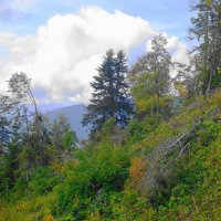 Кавказские горы :: Рита Симонова