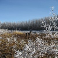 Прогулки :: Anna Ivanova