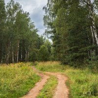 В лес! :: Nyusha . В лес! :: Nyusha .