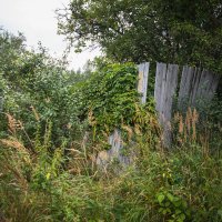 Заброшка... :: Nyusha . Заброшка... :: Nyusha .